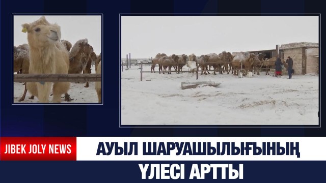 Ауыл шаруашылық өнімі 38 млрд теңгеге жетті