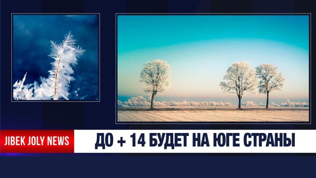 Резкое потепление до +14 ожидается на юге страны