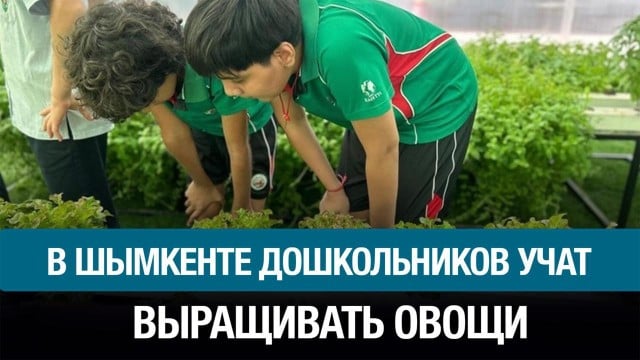 Зелёное детство: первые шаги к большой ответственности