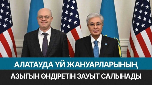 Үй жануарларына арналған азық өндіретін зауыт салынады