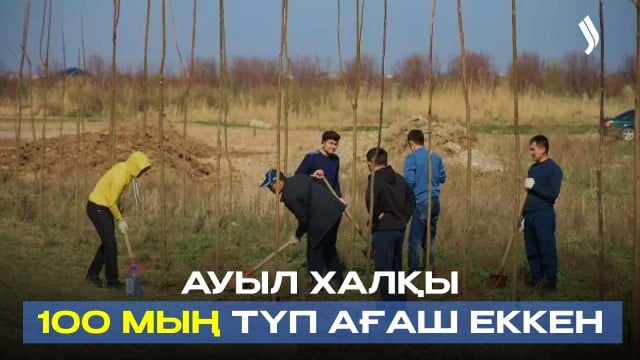 Аядай ауыл халқы 100 мың түп ағаш еккен