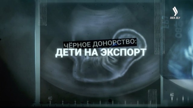 202603121710-FkXHrAshdk.jfif