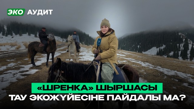 Алматыдағы орман шаруашылығының бүгіні