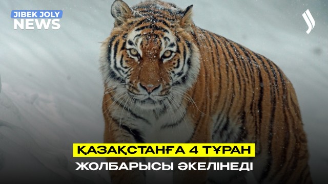 202603242145-fLIZV7L9Lv.jpeg