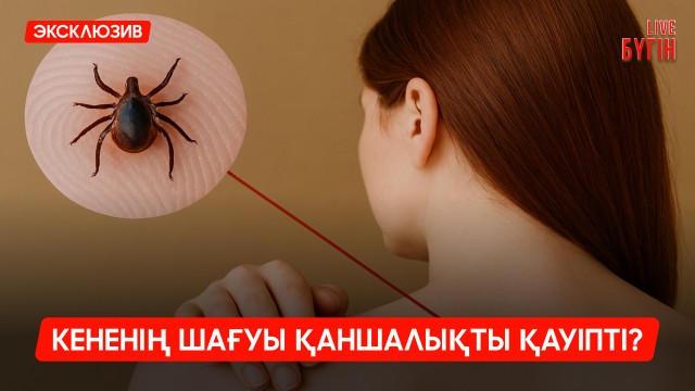 Кене шаққанда не істеу керек? Инфекционист кеңесі