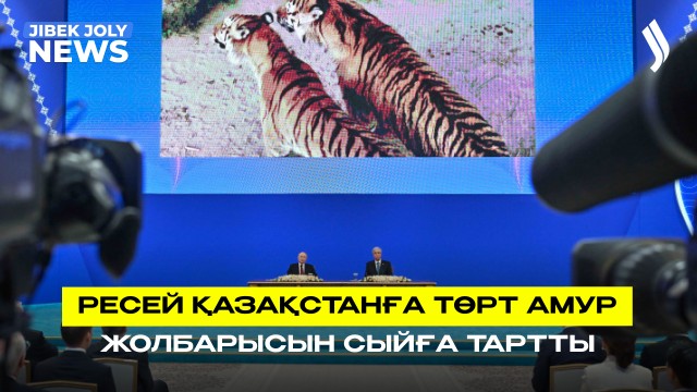 Ресей Қазақстанға төрт Амур жолбарысын сыйға тартты