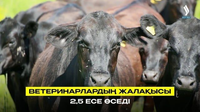 Ветеринарлардың жалақысы 2,5 есеге дейін өседі