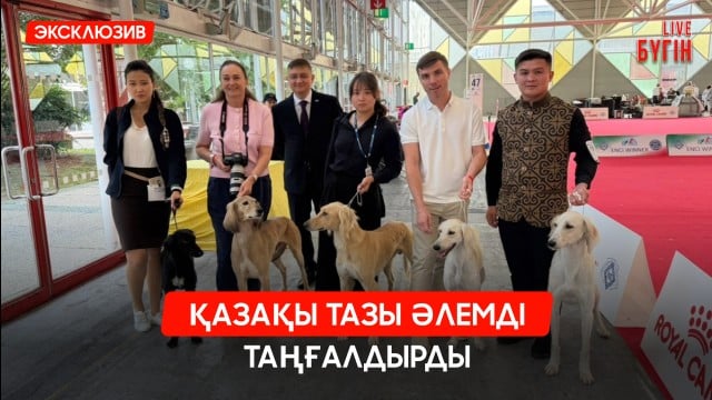 Дәрі жасауды 100 есе жылдамдататын жасанды интеллект