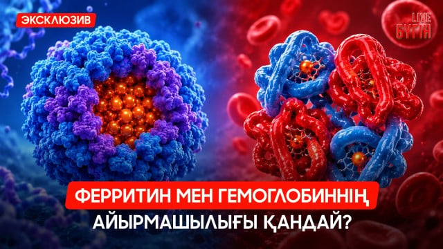 202606111706-eyOepTFpPL.jpg