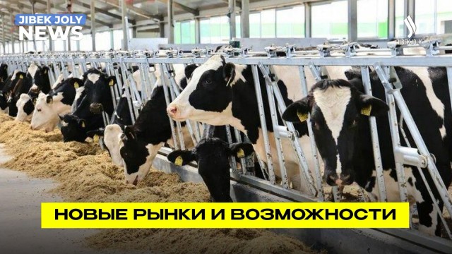 Отечественная продукция завоёвывает рынки с помощью Экспортно-кредитного агентства Казахстана