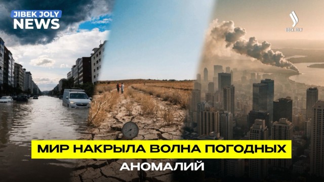 Климат под давлением: жара, засуха и штормы накрыли мир