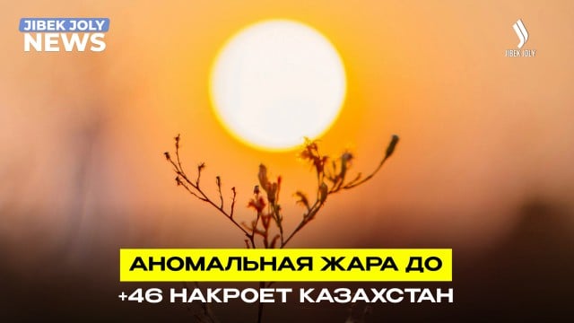 202607151953-46GGsvEzKu.jpg