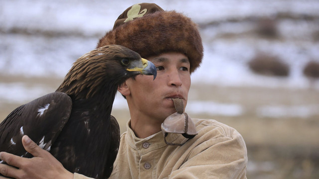 Winners of international golden eagle hunting competition determined in Astana