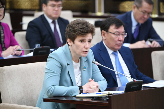 Kazakh Senate discusses law on information security
