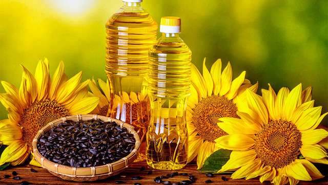 Kazakhstan’s sunflower oil exports up by one third