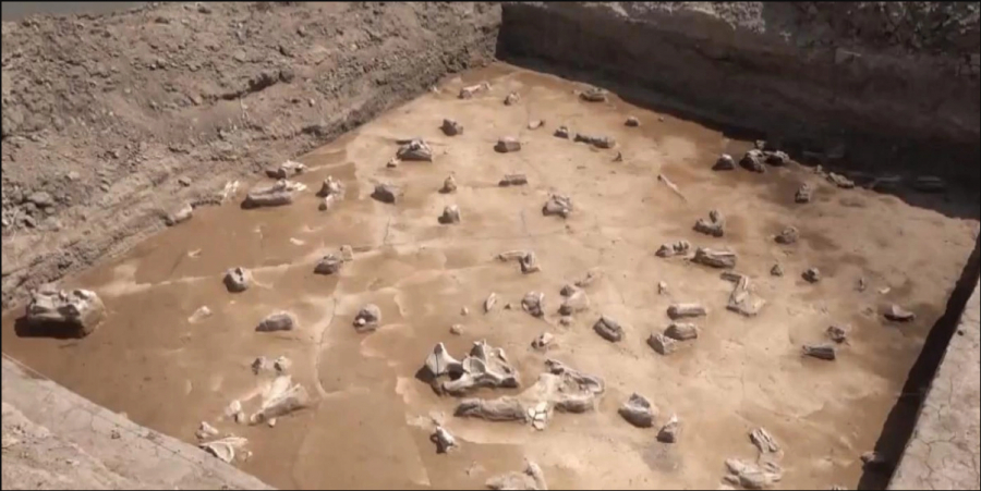 Археологлар неолит даврига оид ёдгорликни тадқиқ қилмоқда