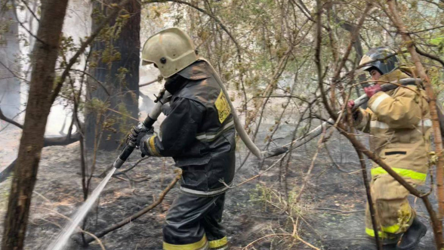 Пожар в Абайской области: заведено уголовное дело