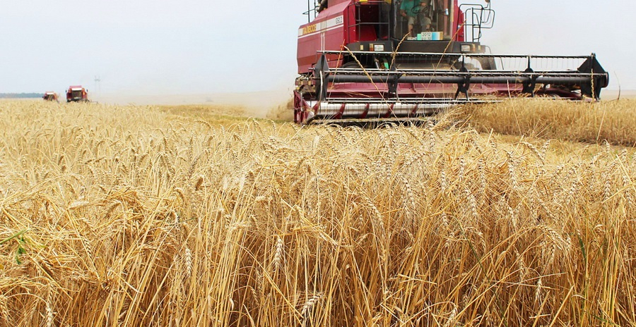 Kazakhstan to increase export of agricultural products 2-fold