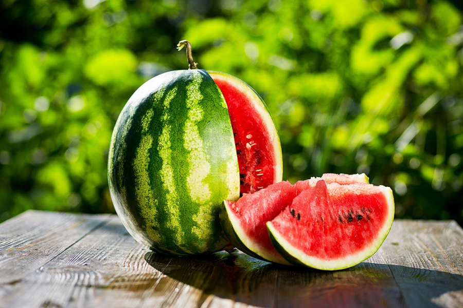 Watermelon festival takes place in Pavlodar