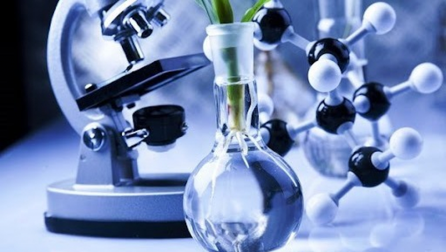 Commercialization of scientific projects: Kazakh scientists tap into international markets