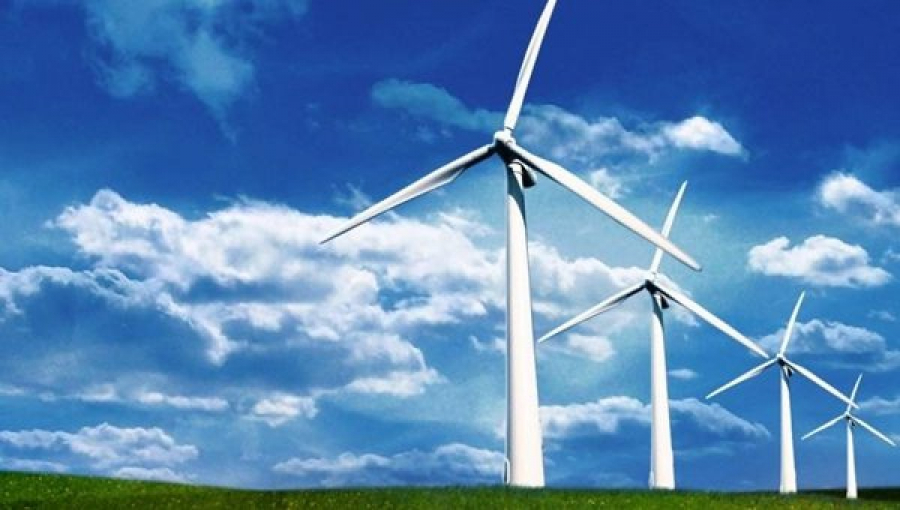 Wind power plant to be built in Zhambyl region
