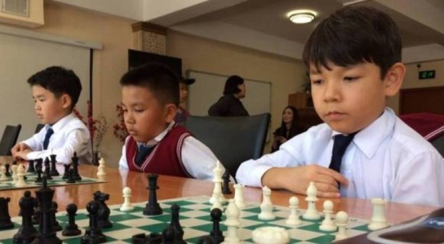 ФИДЕ поделится с Казахстаном опытом внедрения шахмат в школьную программу