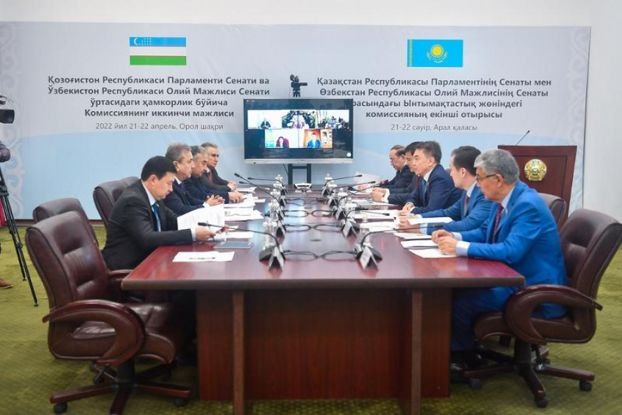 Сенаторы Казахстана и Узбекистана обсудили проблемы Аральского моря