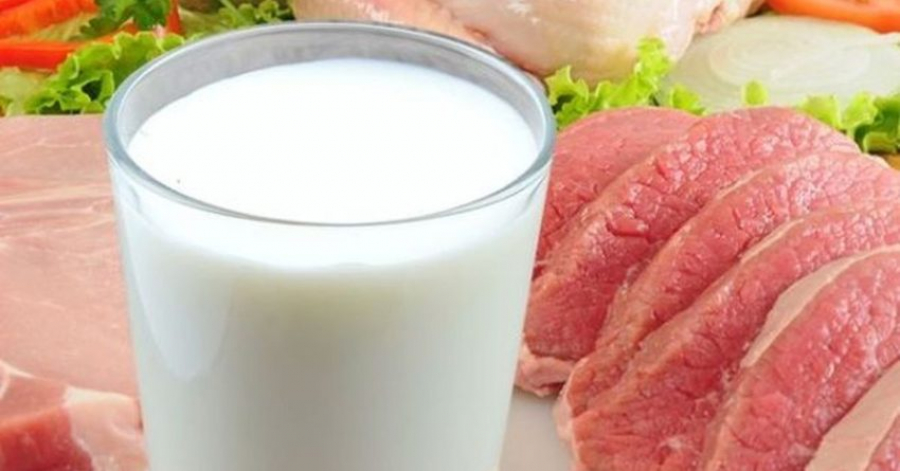 Инвестпроекты по производству мяса и молочной продукции реализуют в РК