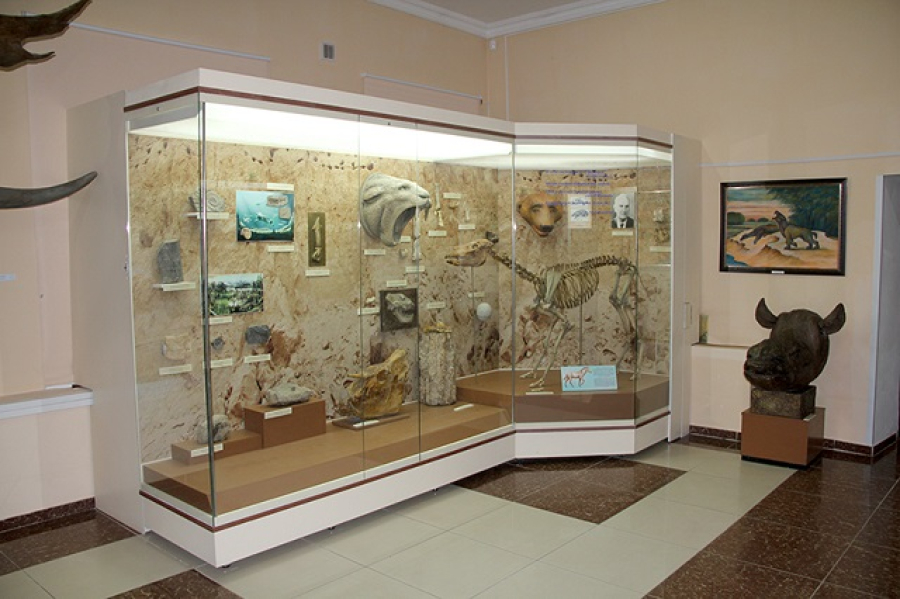 XIX кылымга таандык уникалдуу экспонат Павлодардагы музей фондун толуктады