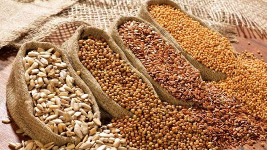 Комплексный план по обеспечению отечественными семенами разработают в Казахстане