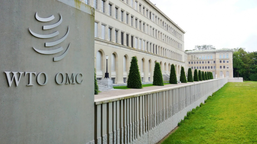 Министерская конференция ВТО проходит в Женеве