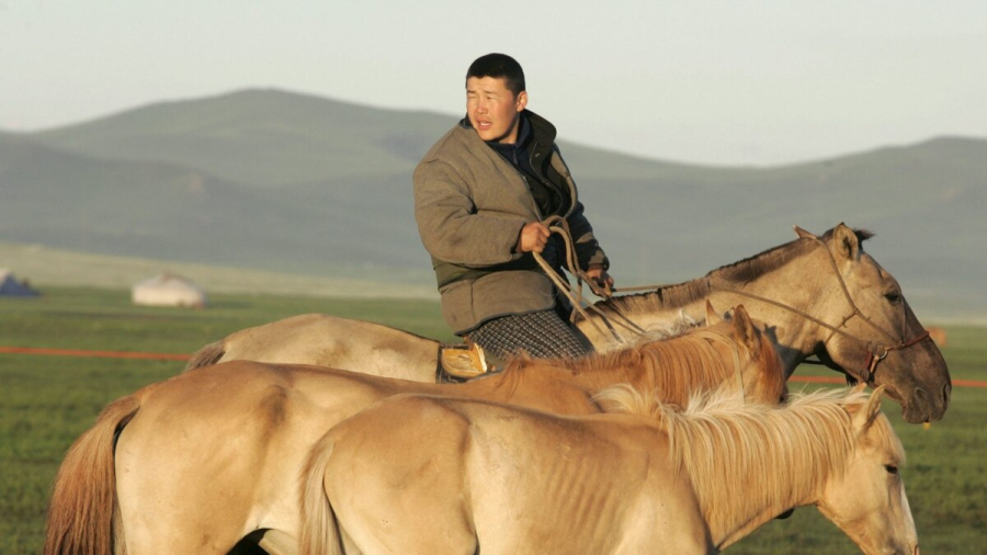IV малый курултай казахов проходит в Монголии