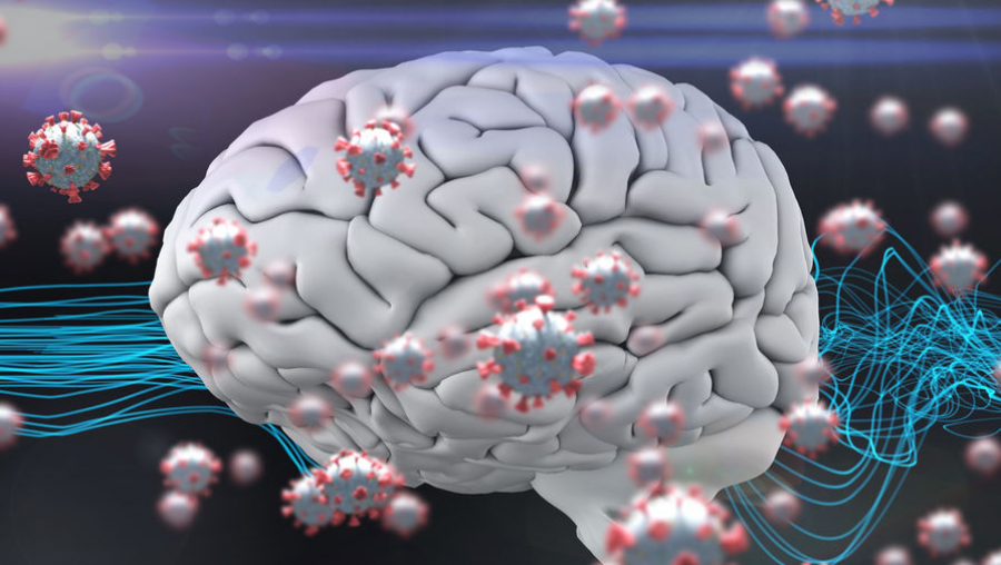 Коронавирус может повлиять на мозг человека – эксперты