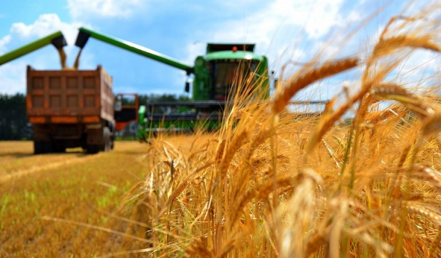 До 25 млн тонн повысятся объемы урожая зерна в Казахстане
