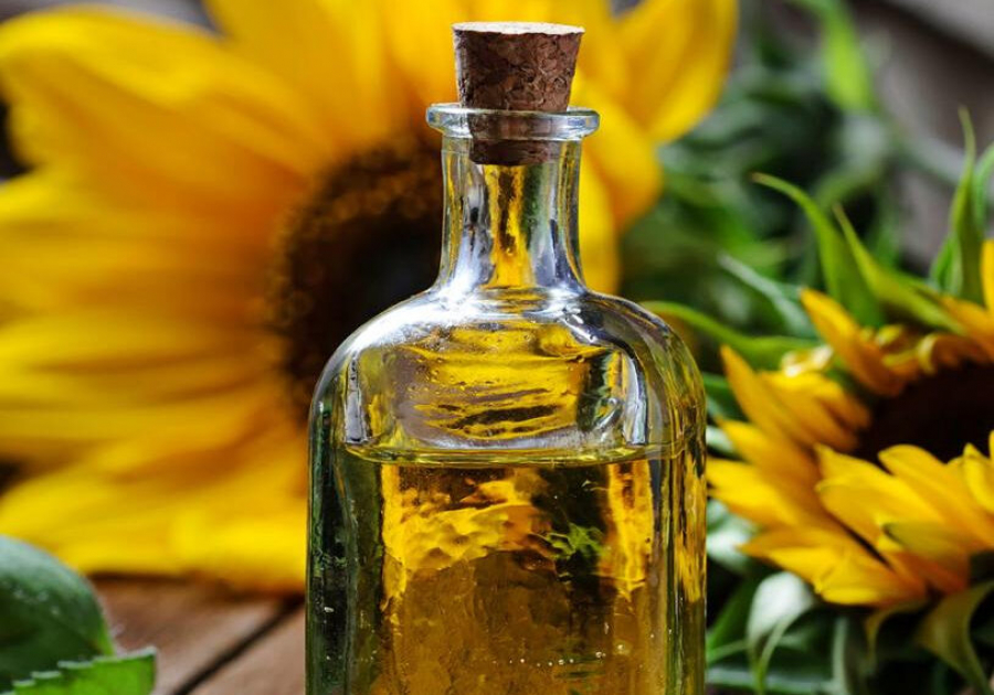 Kazakhstan imposes quota on sunflower oil exports