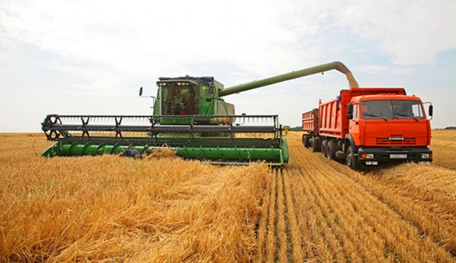 Agriculture ministry: grain harvesting in Kazakhstan complete