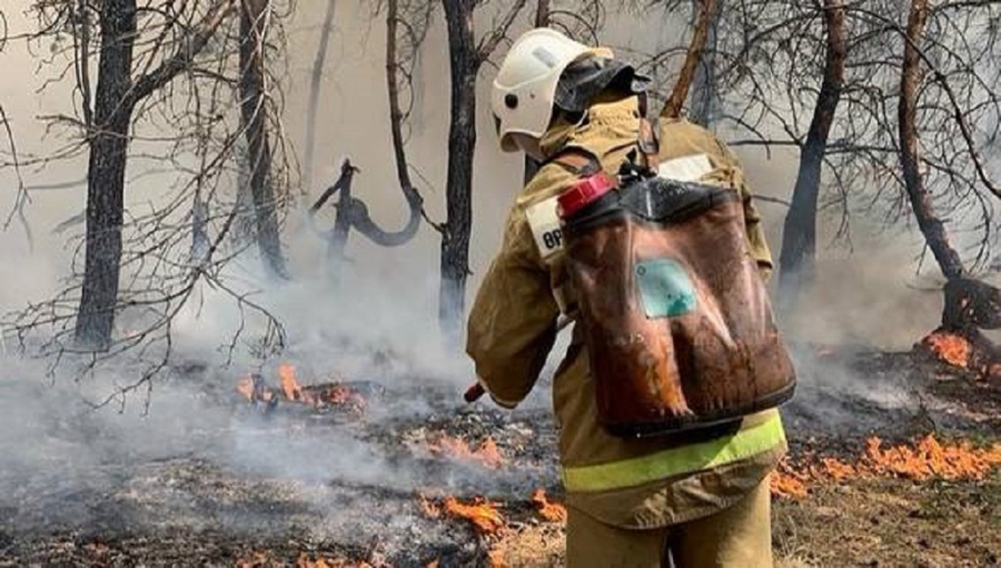 Лесные пожары: очаги возгорания ликвидировали в Тарханке и Уланском районе