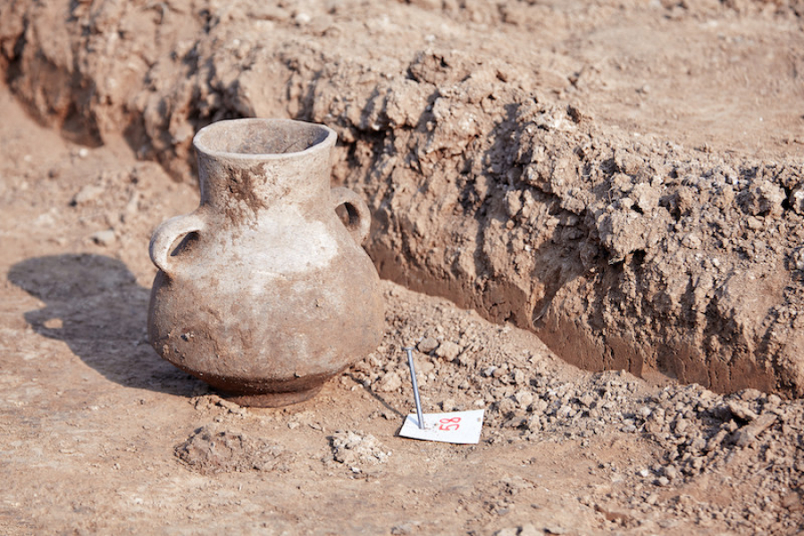 Түркістан облысында құнды артефактілер табылды