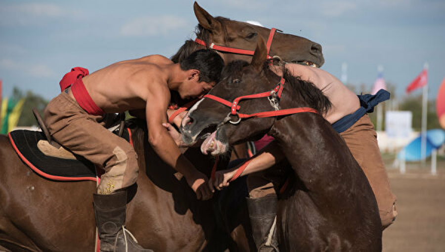 Audaryspak horseback wrestling – revival of national games