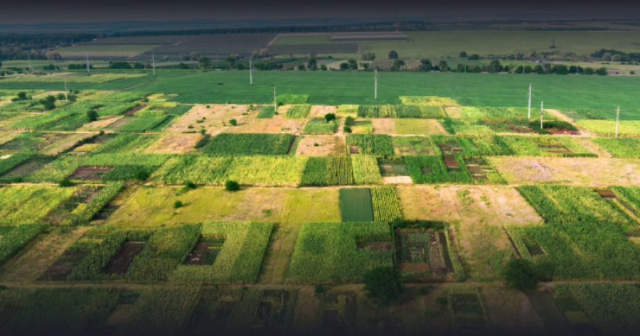 Интерактивную карту возвращенных сельскохозземель запустили в РК