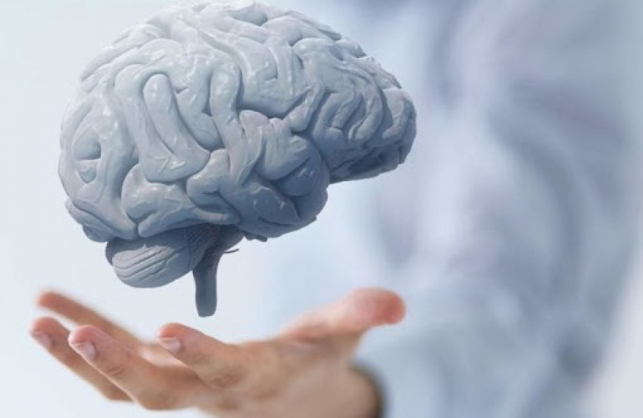 Students from Kazakhstan develop test to detect Alzheimer’s disease at early stage