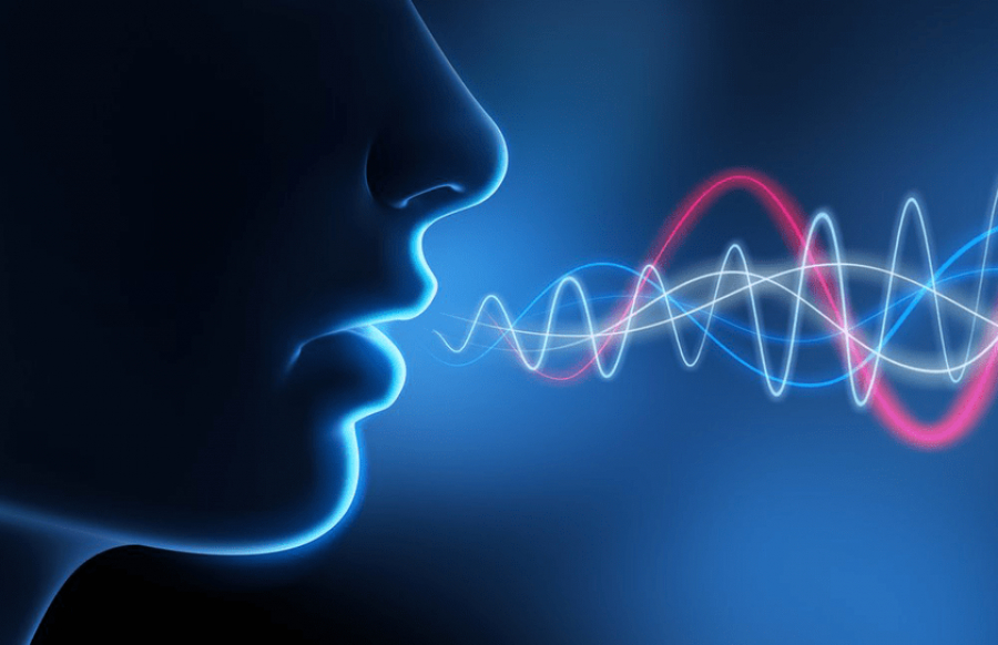 Dutch company gets interested in Kazakh-made speech recognition system