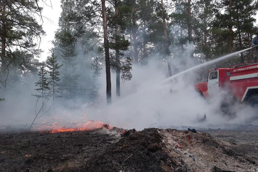 Лесные пожары: спасатели возвращаются домой