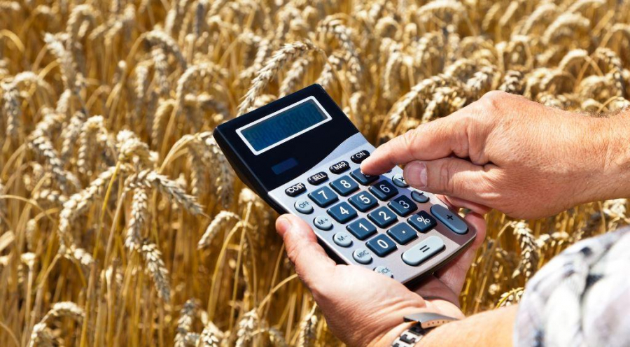 Kazakhstan implements 17 investment projects in agriculture industry worth US$50.6 million