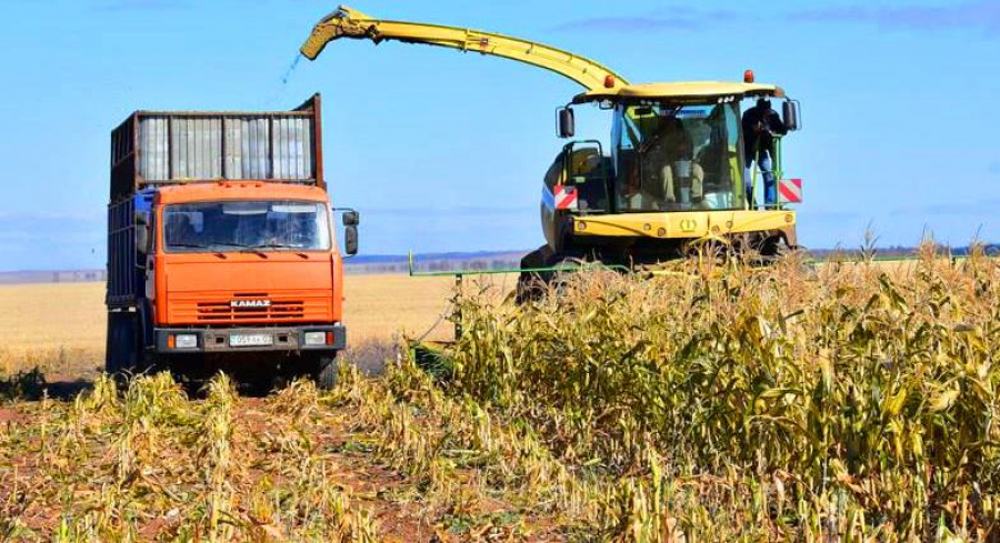 Harvesting campaign to complete in Kazakhstan soon