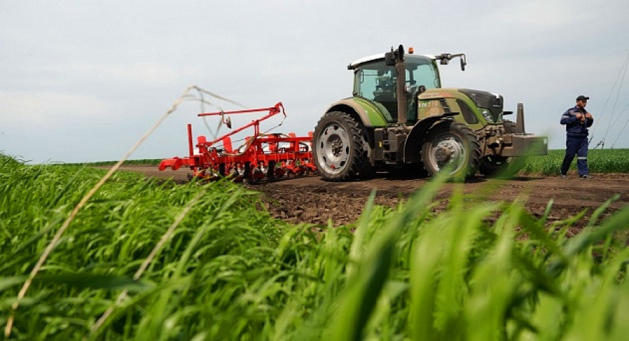 Agriculture to become driver of Kazakhstan’s economy
