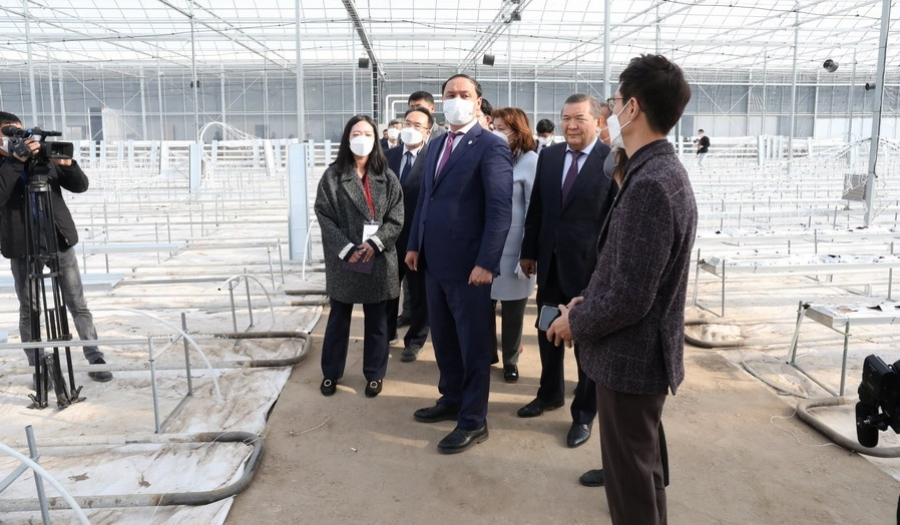 Smart greenhouse launched in Almaty region