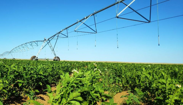 Казахстан изучит израильские агротехнологии и методы управления водными ресурсами