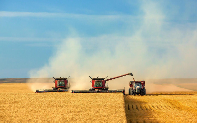 В Казахстане убрано около 17 млн гектаров зерновых