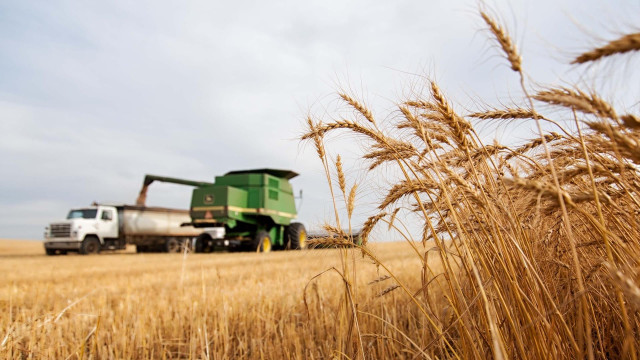 Казахстан увеличит ежегодные поставки зерна в Китай до 1 млн тонн